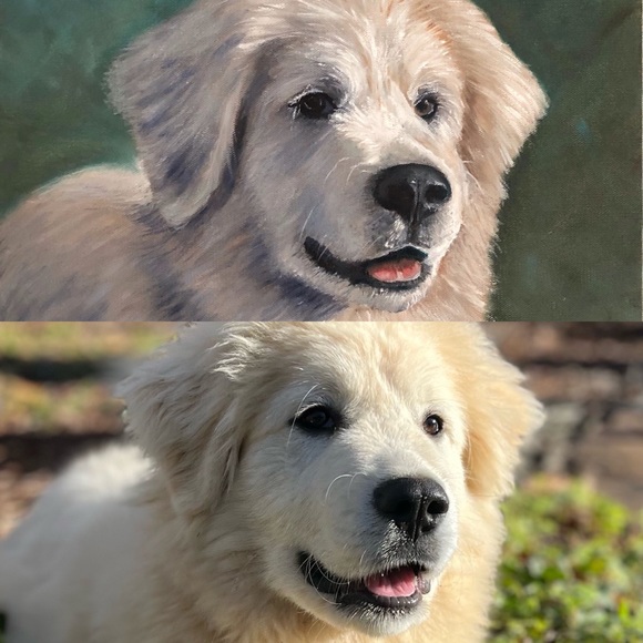 Custom pet portrait, pet memorial, oil painting canvas, dog, cat - Picture 14 of 16